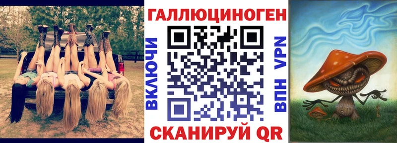MEGA ссылки  цена   Волхов  маркетплейс телеграм  Псилоцибиновые грибы Magic Shrooms 
